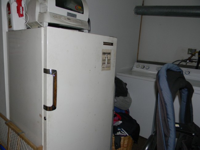 Dirty & gross fridge, washer & dryer in the kitchen. Blah!