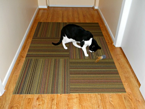 Our cat Bella playing on the FLOR runner. 