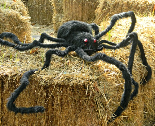 Giant-Spider