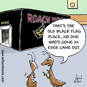 Roach Motel Cartoon