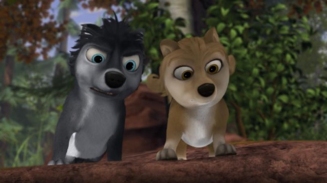 Alpha and Omega 2 Puppies