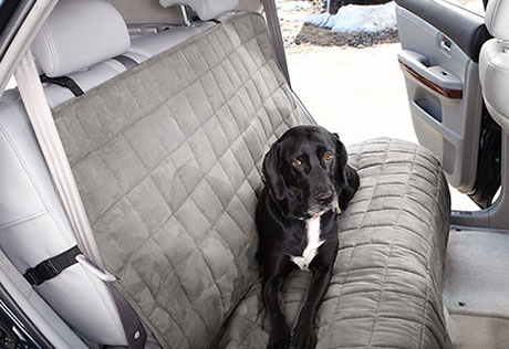env_waterproofautocover_gray_medium