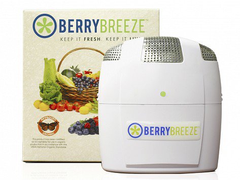 BerryBreeze Giveaway