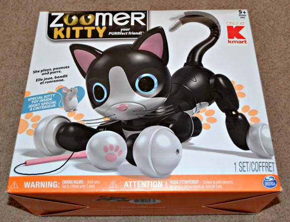 Zoomer Kitty