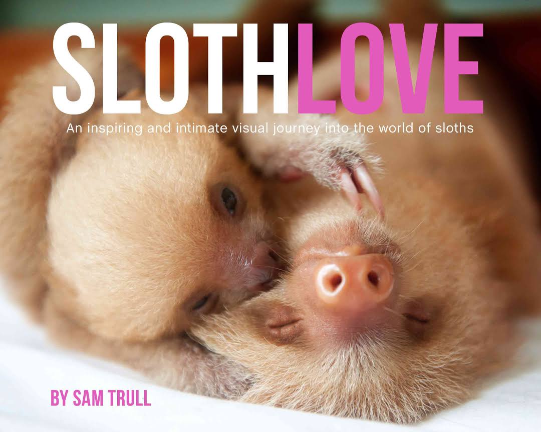 SlothLove